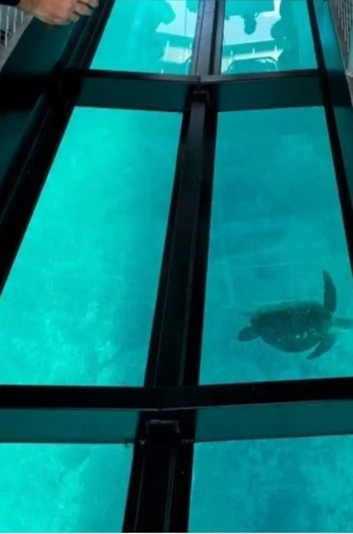 Glass-bottom boat tour on a Paphos trip.